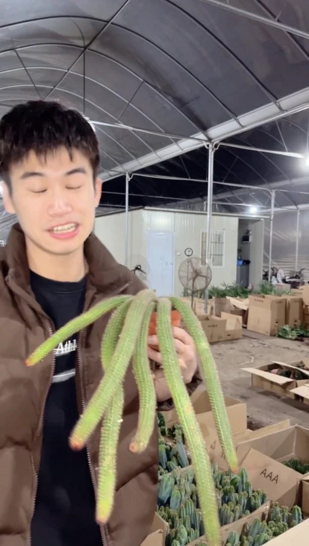 【闪购商品】【精品】多头垂钓金妞