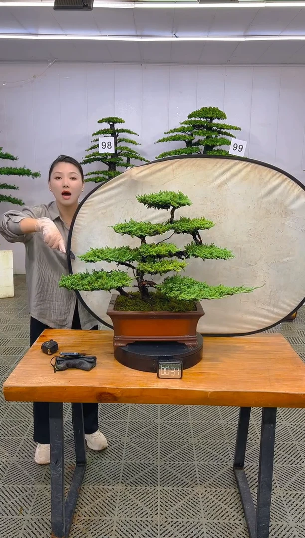 无花朵一物一拍一物一拍