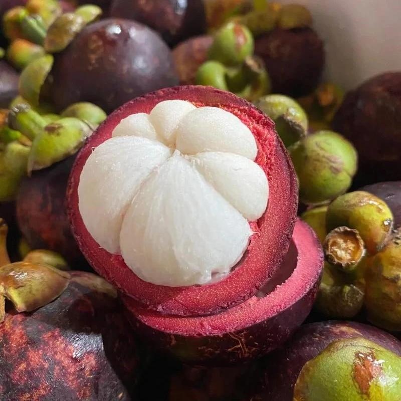 阿杰果业）泰国4A5A老树山竹麻皮4斤包邮（坏3个以上包赔）新鲜