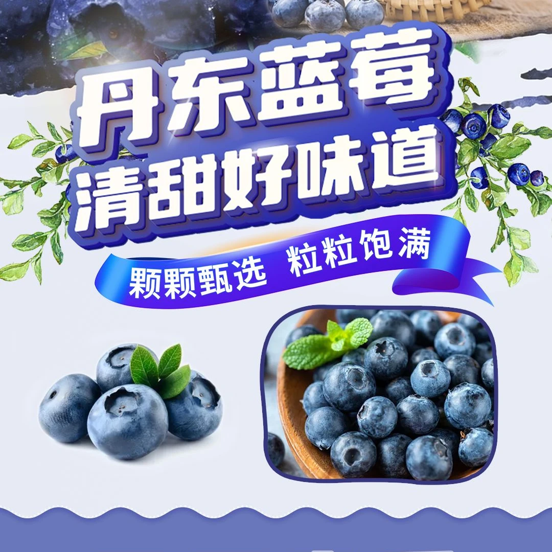 丹东蓝莓L25蓝莓花香脆甜0.5斤/1斤/1.5斤/2斤/顺丰包邮
