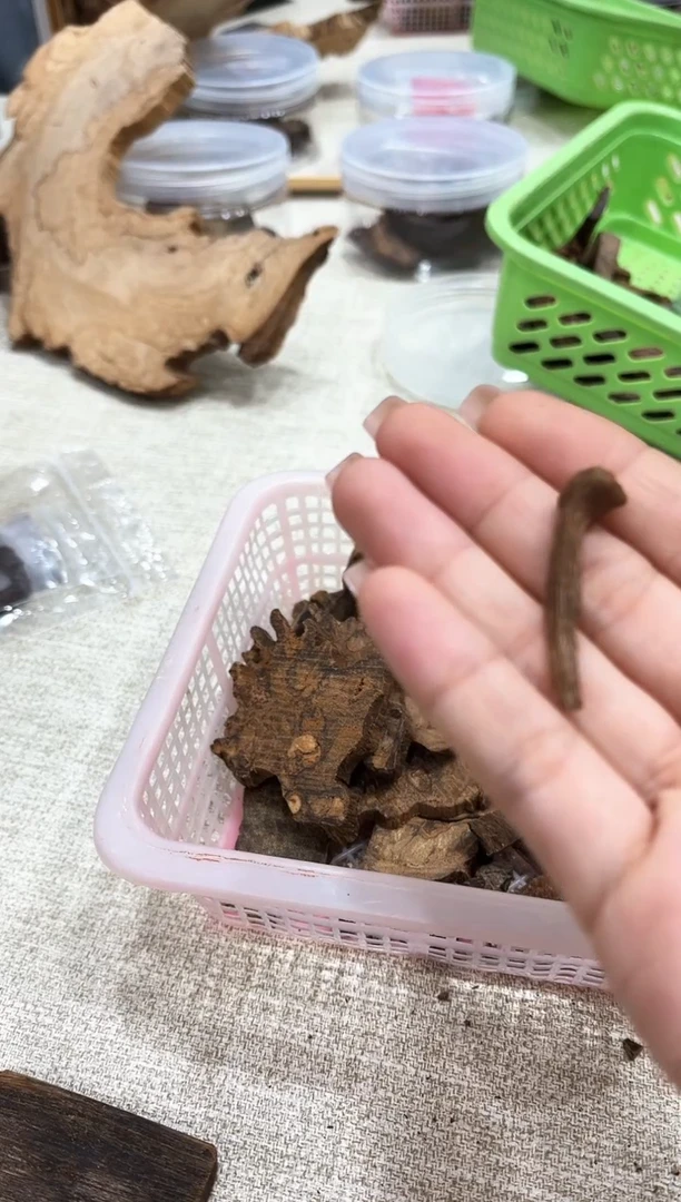 【闪购商品】木芽4号老货材料一块