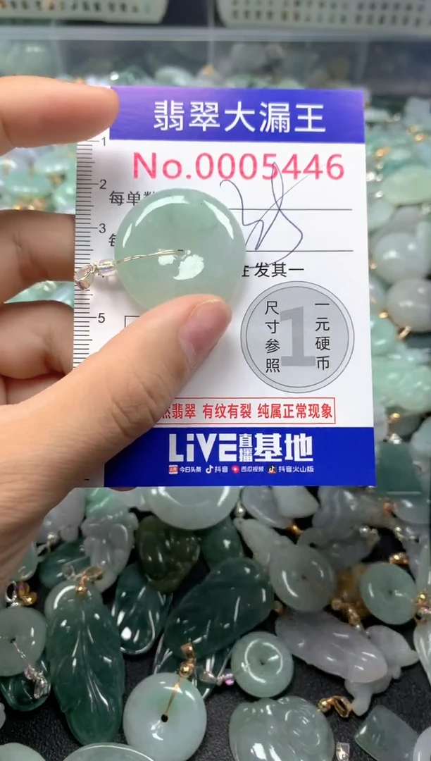 颈饰未镶嵌翡翠5446