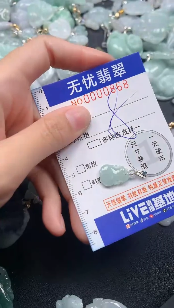 颈饰未镶嵌翡翠868