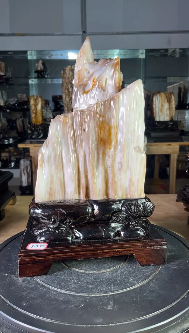 【闪购商品】硅化玉珠宝奇石未镶嵌1