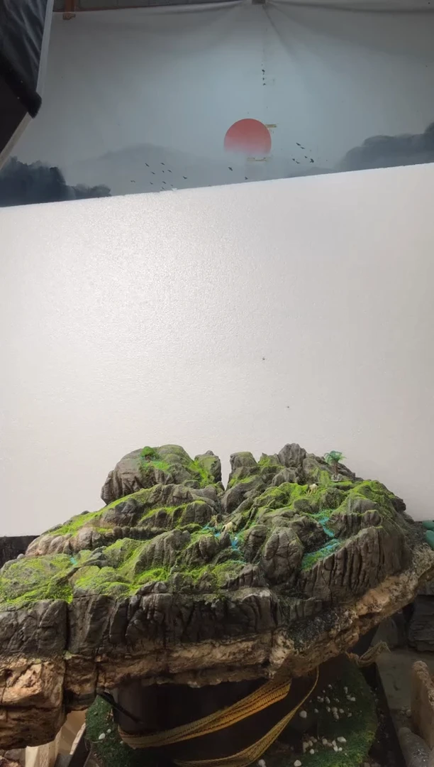 直播一物一拍链接