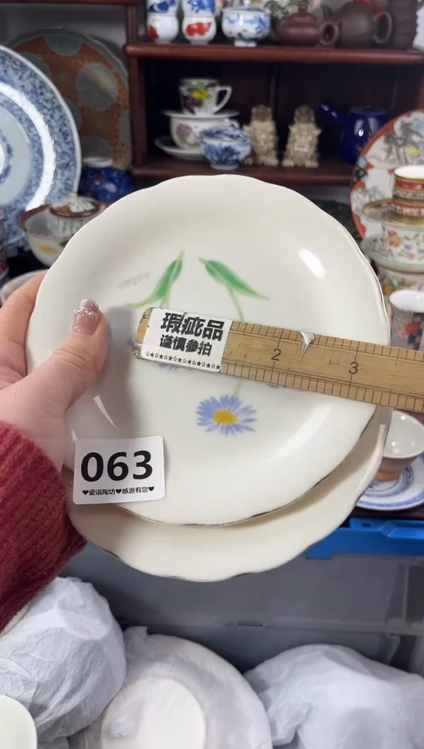 【闪购商品】瓷片063...........