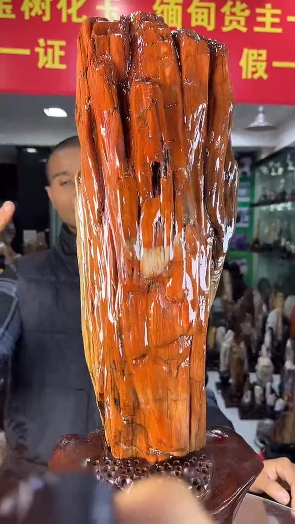 缅甸天然树化玉精品摆件