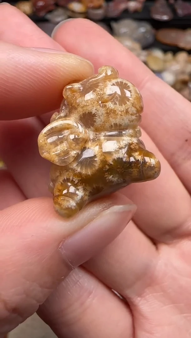 硅化珊瑚（珊瑚玉）未镶嵌颈饰150