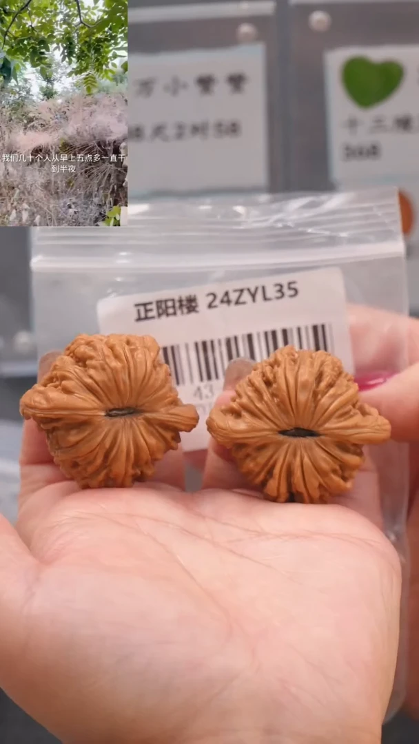 【闪购商品】文玩核桃吊坠43平谷正阳楼