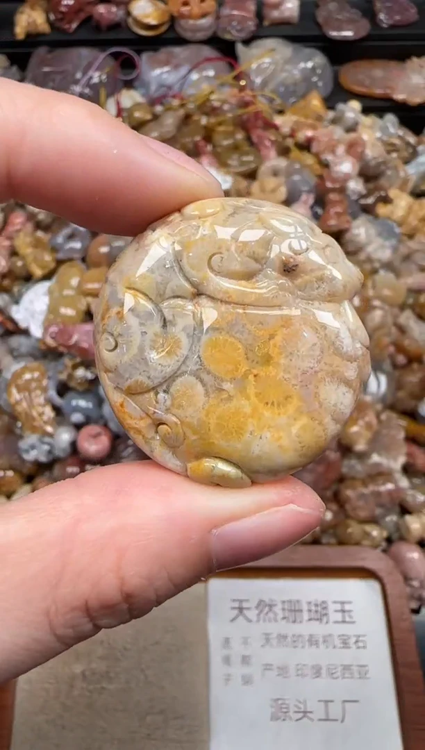 硅化珊瑚（珊瑚玉）未镶嵌颈饰416