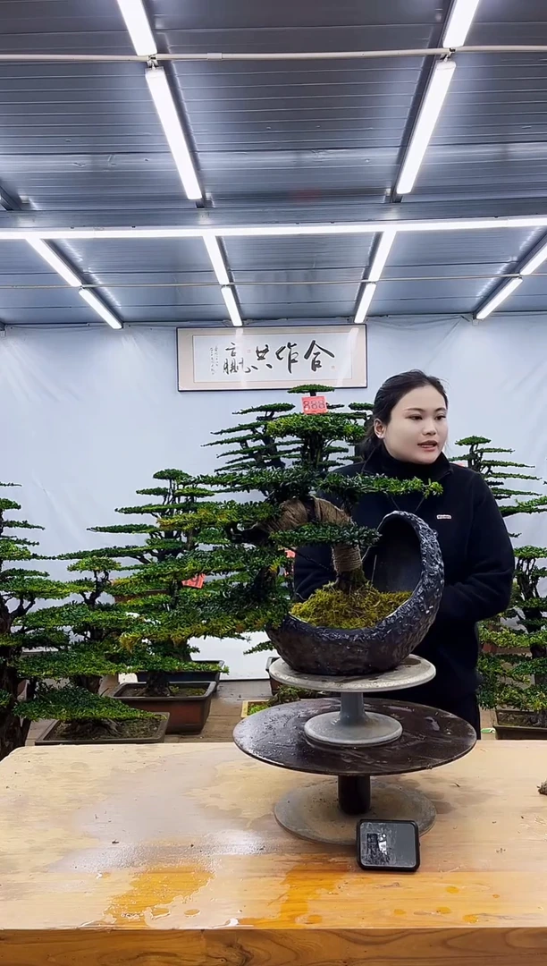 无花朵一物一拍，所见即所得
