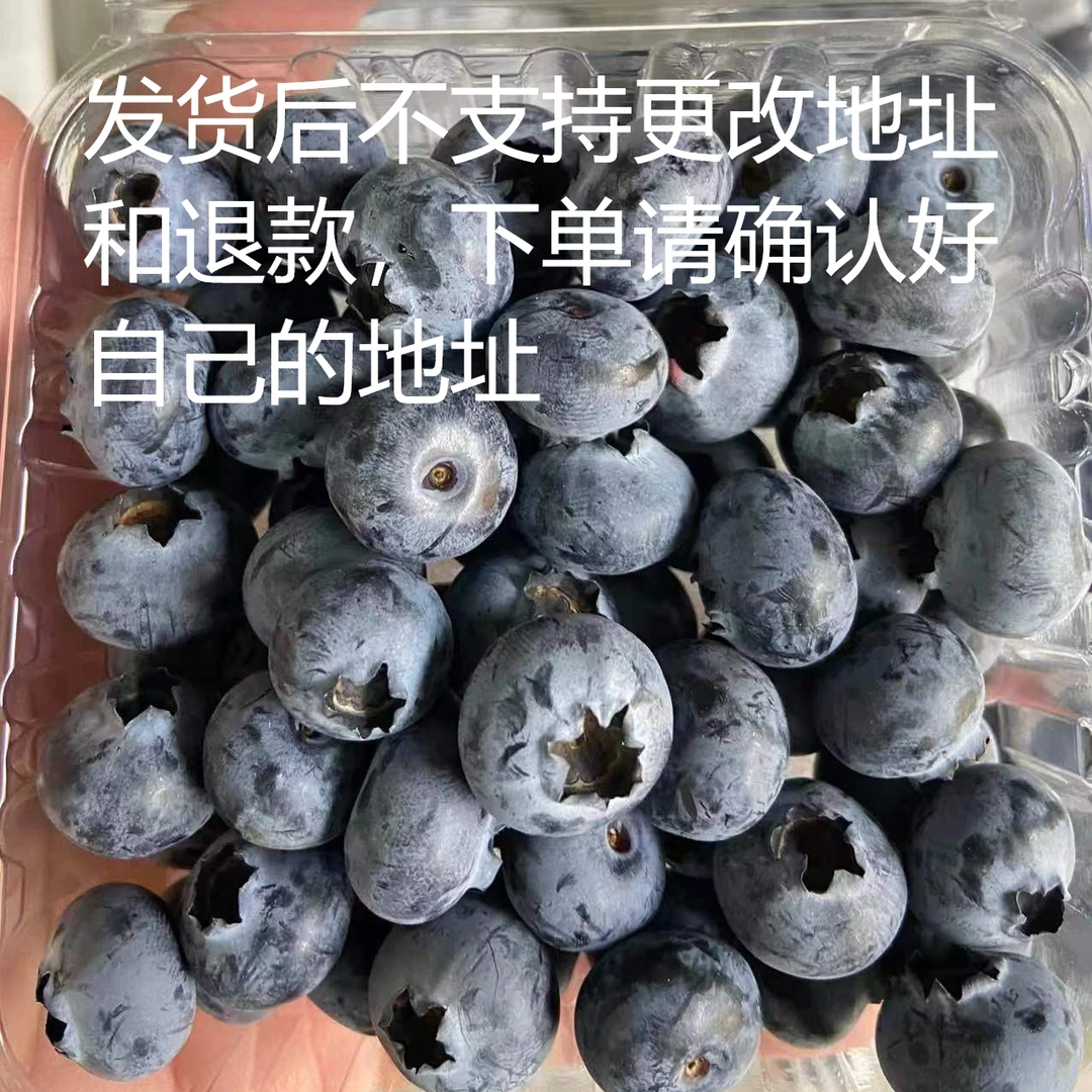 【顺丰空运】云南花香蓝莓 1/2斤  收到冰箱冷藏保存 不保证果粉