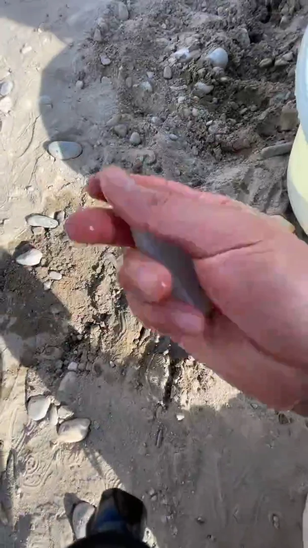 颈饰未镶嵌和田玉（糖玉）001