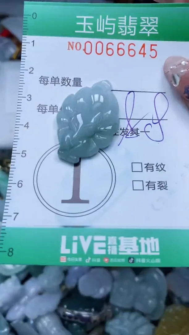【闪购商品】翡翠颈饰未镶嵌闪购0066645