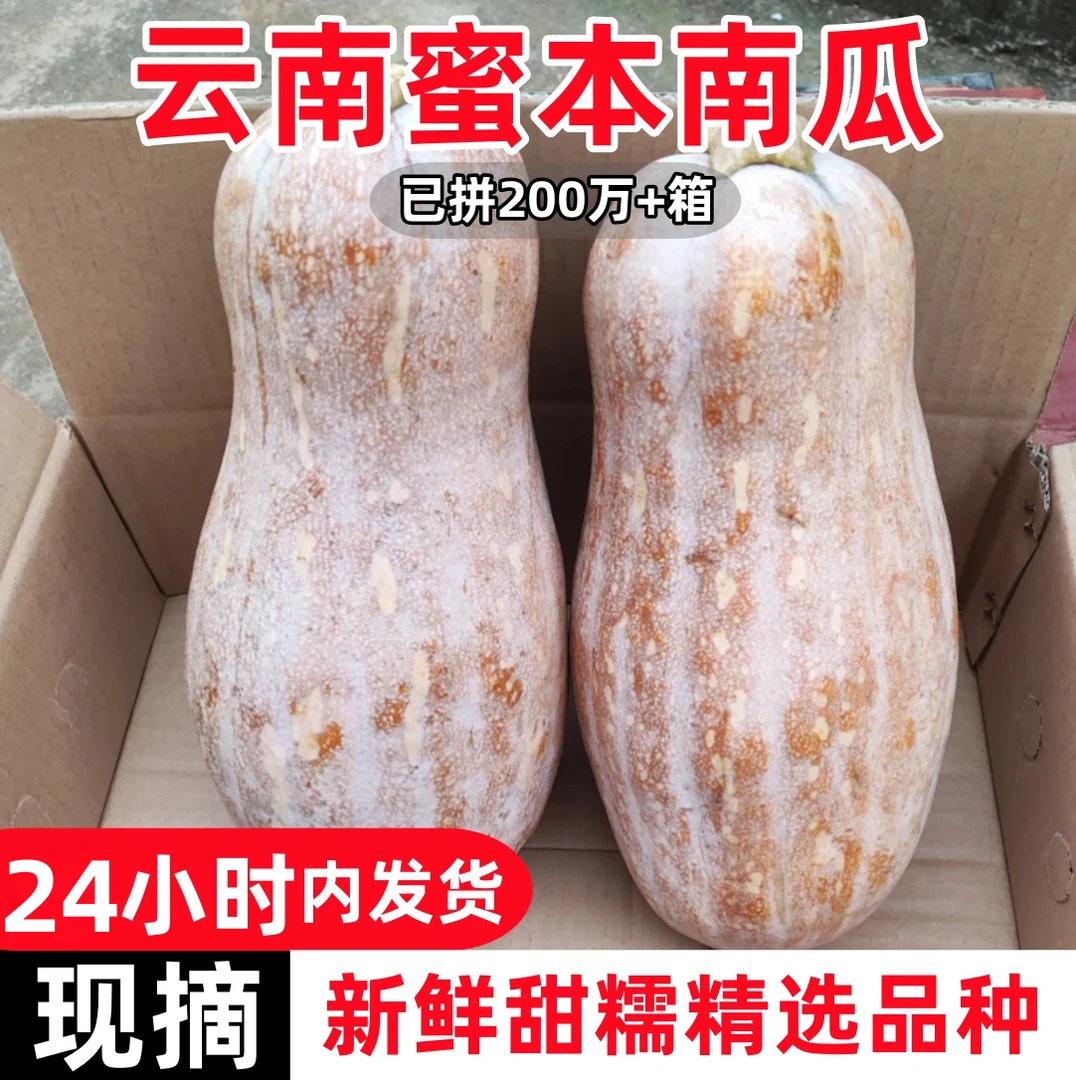 【自然熟】云南蜜本南瓜正宗甜糯老南瓜批发当季新鲜蔬菜非贝贝南瓜