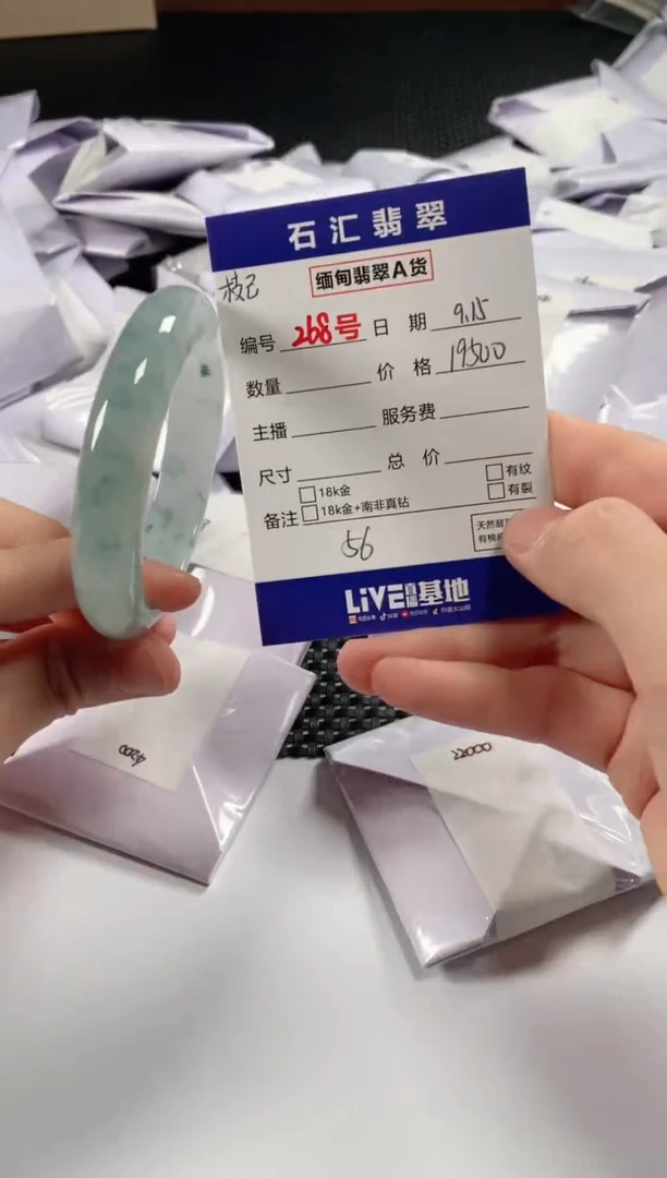 颈饰未镶嵌翡翠枝*?1