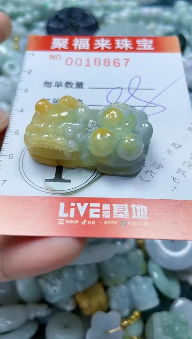 【闪购商品】翡翠颈饰未镶嵌闪购0018867