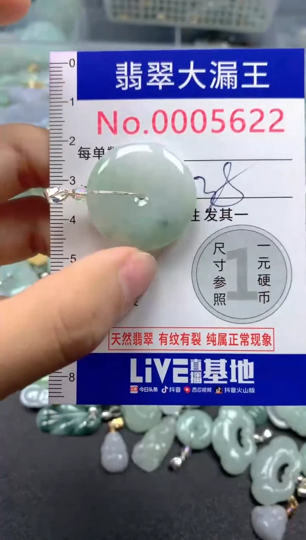 颈饰未镶嵌翡翠5622