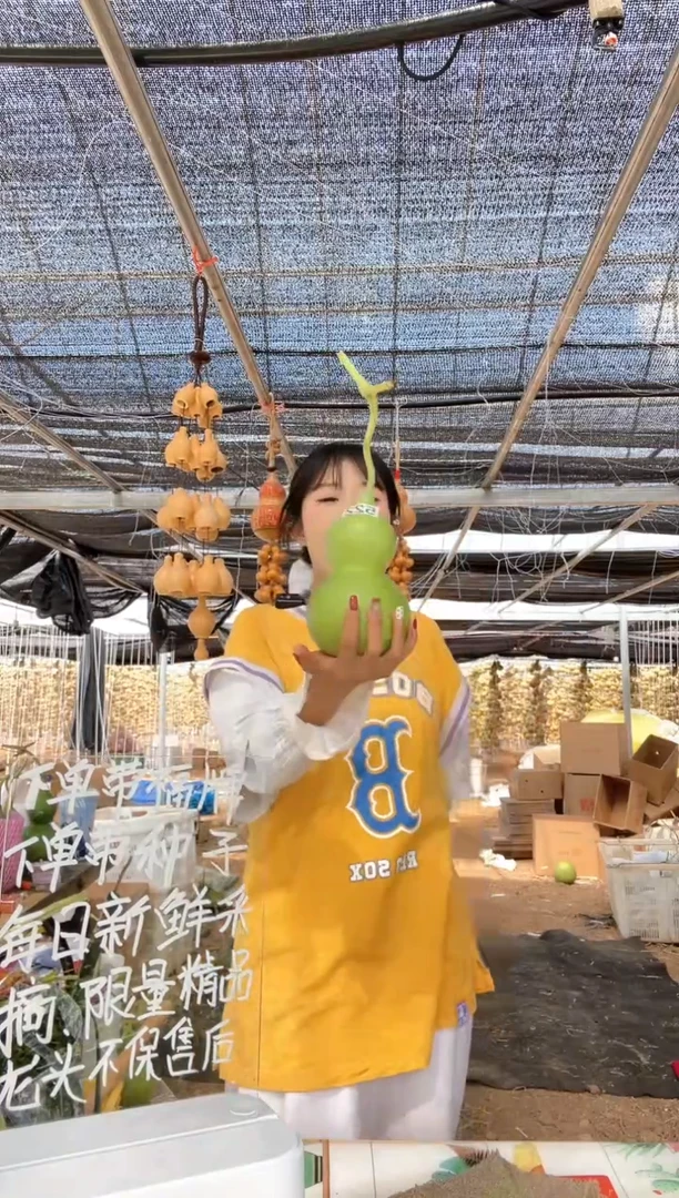 522天然葫芦摆件 一物一拍龙头不保售后