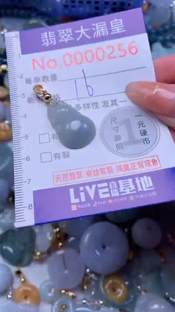 翡翠未镶嵌吊坠(不含链)0256