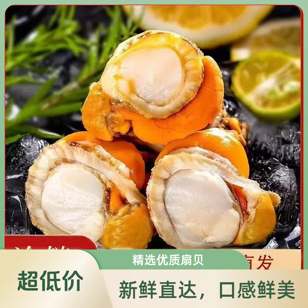 新鲜扇贝肉正宗渤海湾带膏带黄5斤装