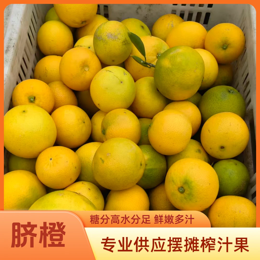 橙子榨橙汁摆摊专用脐橙果冻橙二级果批发一年四季不间断供应鲜橙