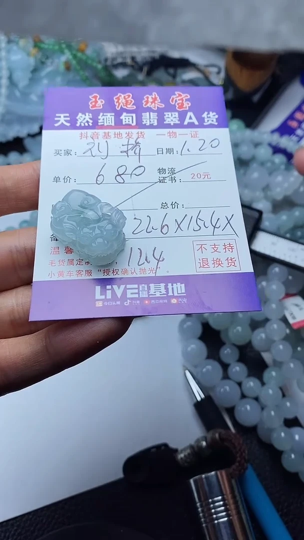 【闪购商品】翡翠颈饰未镶嵌貔貅