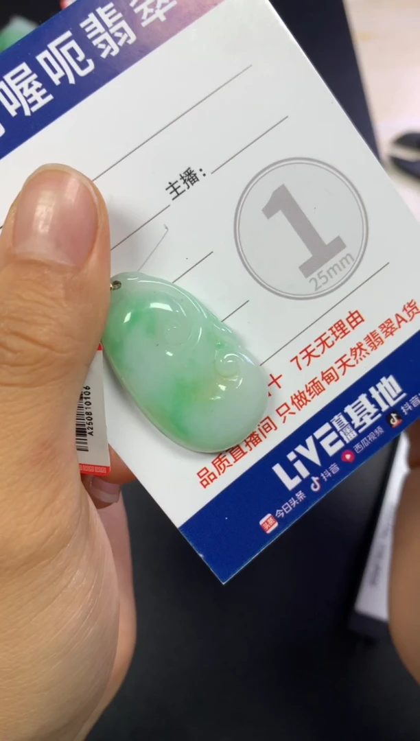 颈饰未镶嵌翡翠如意