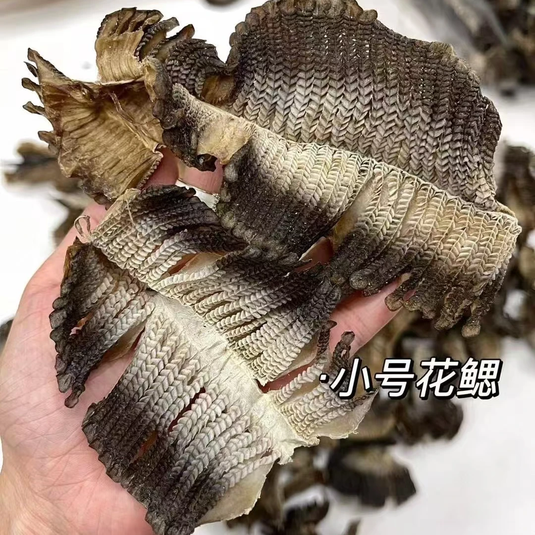 膳品同源 精选煲汤干货 月彭 花鱼鳃 100克