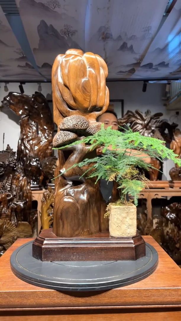 乌木类木质文然自然摆件