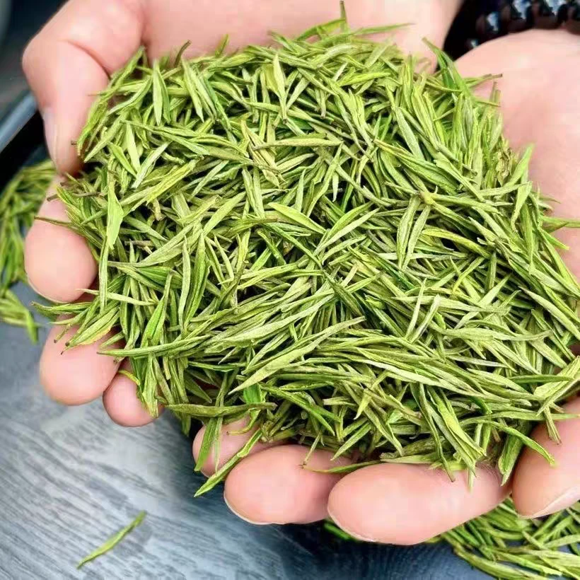 2025新茶【春季中期口粮白茶】春季 白茶 浓郁耐泡 香气十足浓兰香