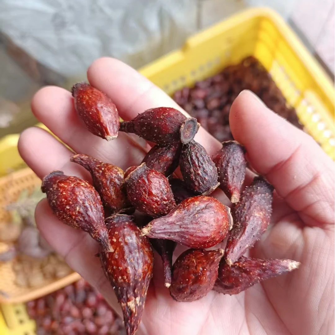 野生金樱子 自然晾晒干品