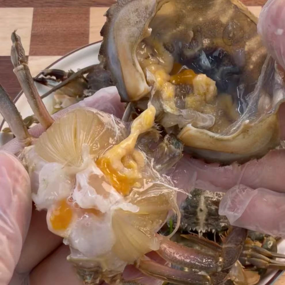 生腌母花盖 花盖蟹