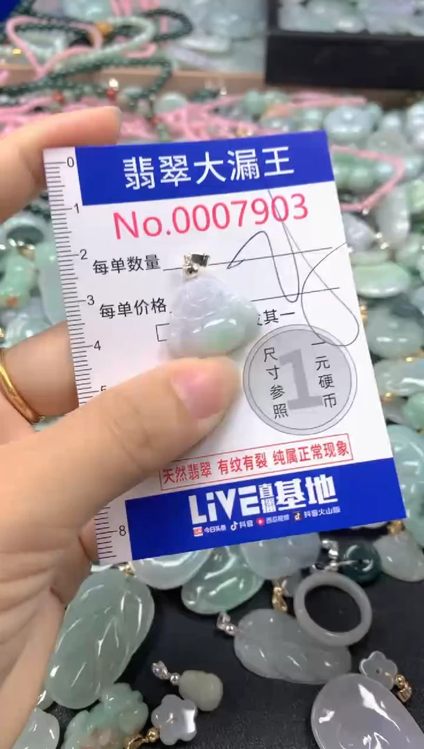 翡翠未镶嵌吊坠(不含链)7903