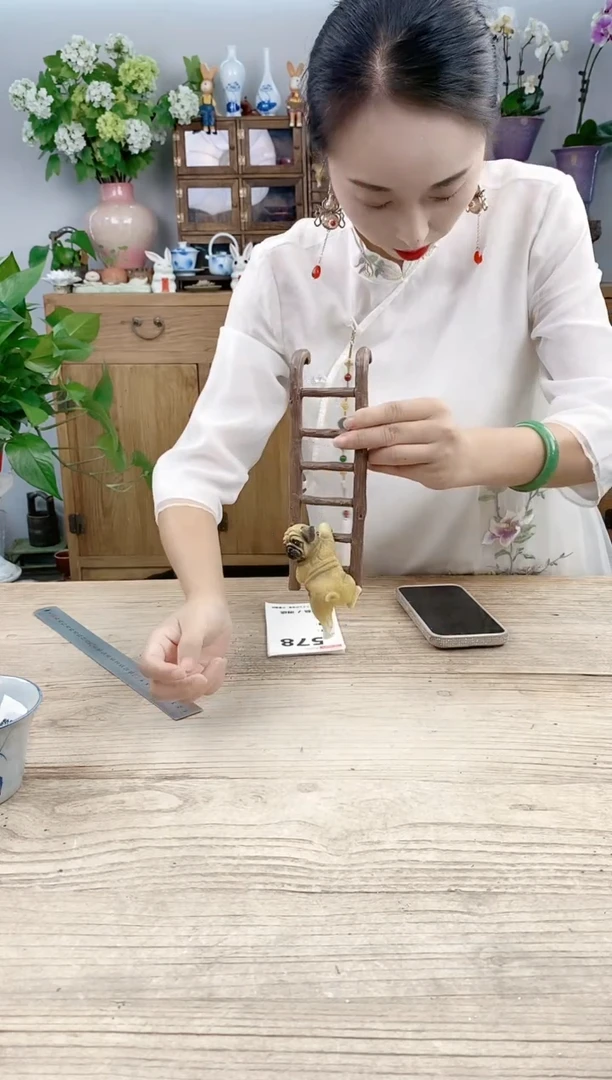 小玩子花盆直播号575