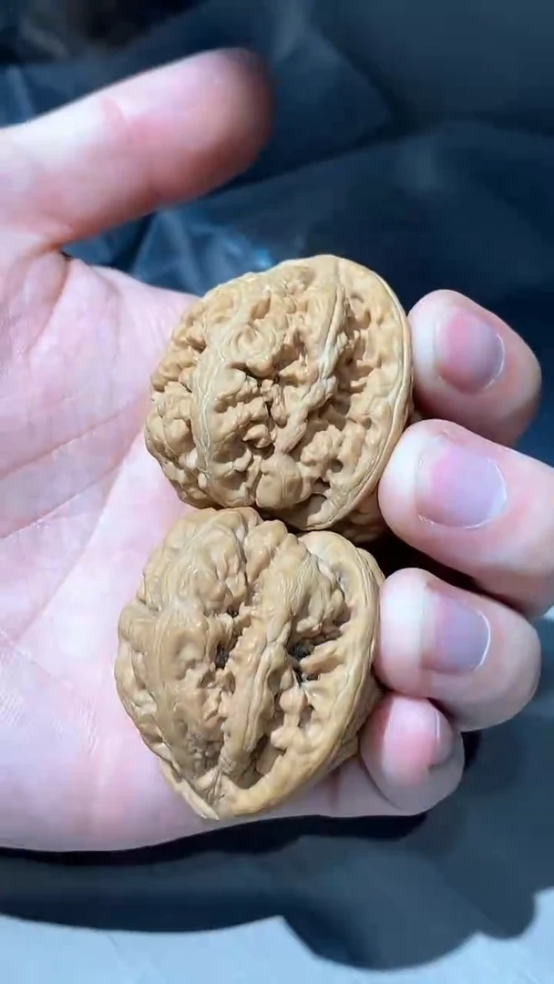 【闪购商品】文玩核桃把件原树小粗筋37-38