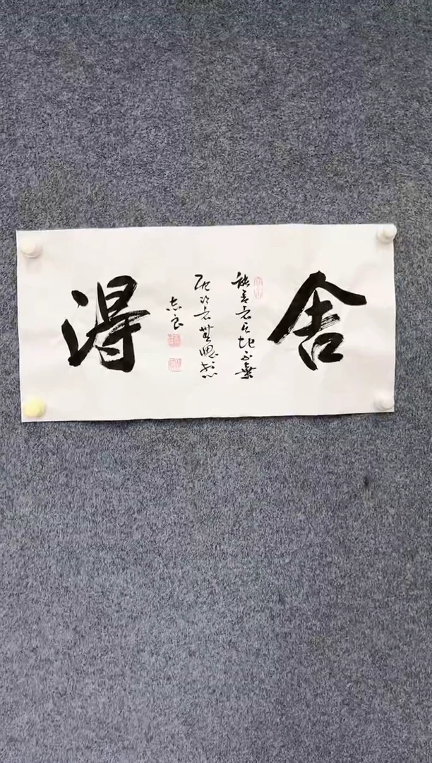 书法530珍品-袁志良-舍得