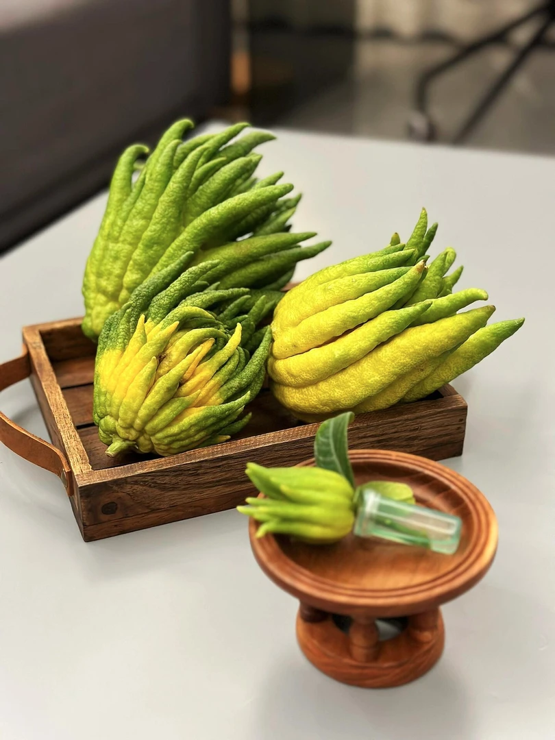 精品新鲜观赏佛手柑大果鲜果清供天然香薰清香香薰可食用闻云南培