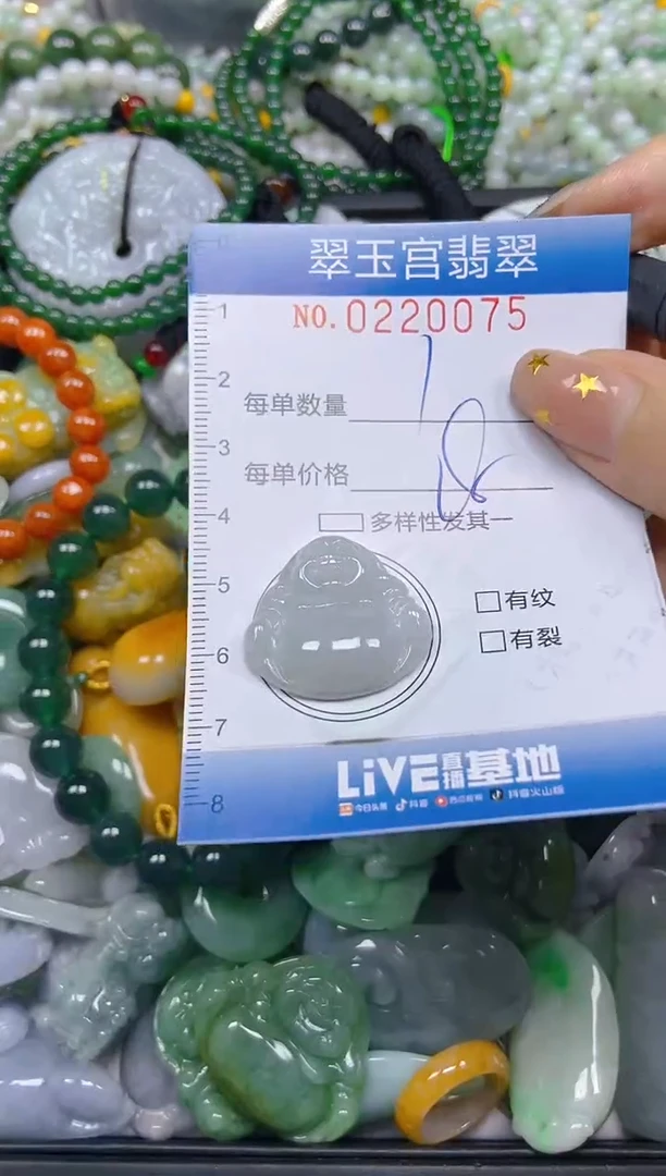 颈饰未镶嵌翡翠闪购C0220075