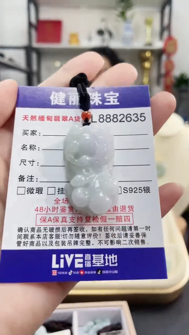 颈饰未镶嵌翡翠天然缅甸翡翠 貔貅(一物一证)