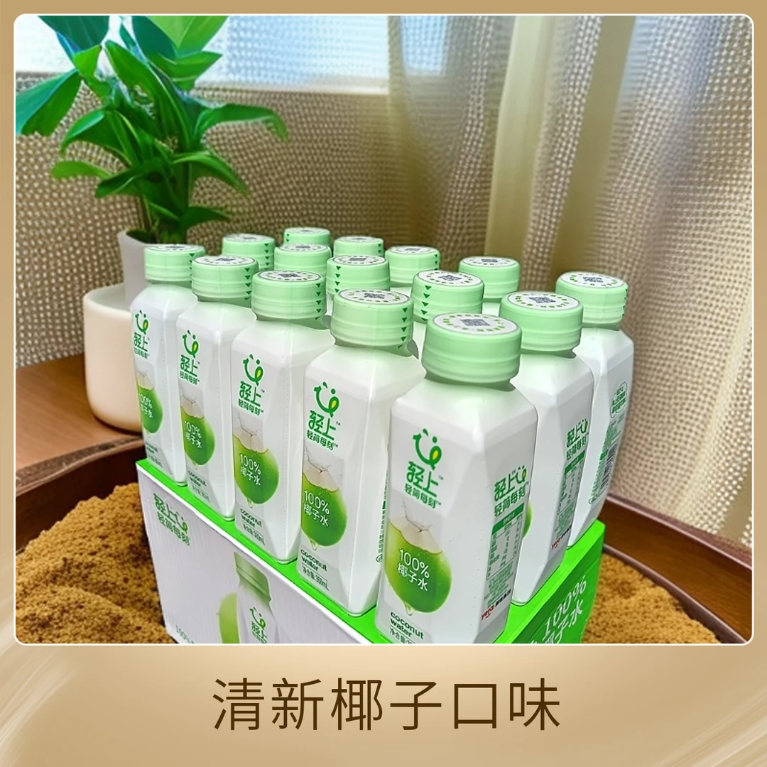 椰子水饮品解渴解腻纯天然电解质补水健康植物蛋白饮料360ml装