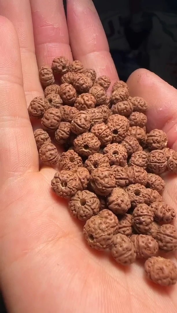 手串金刚菩提非全品老树王散籽7-8mm一份一百颗