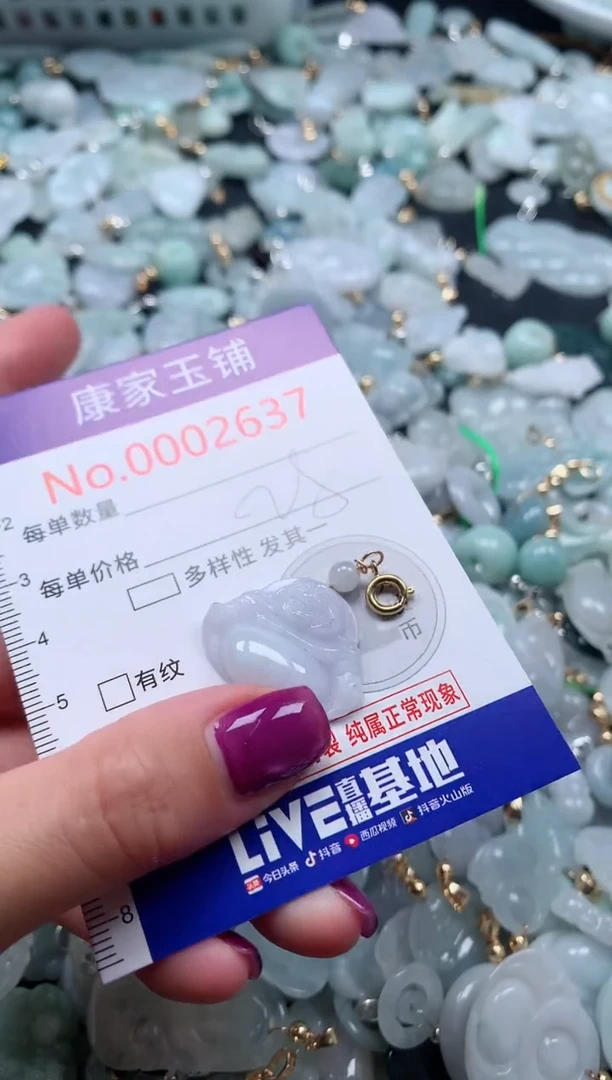 颈饰未镶嵌翡翠2637