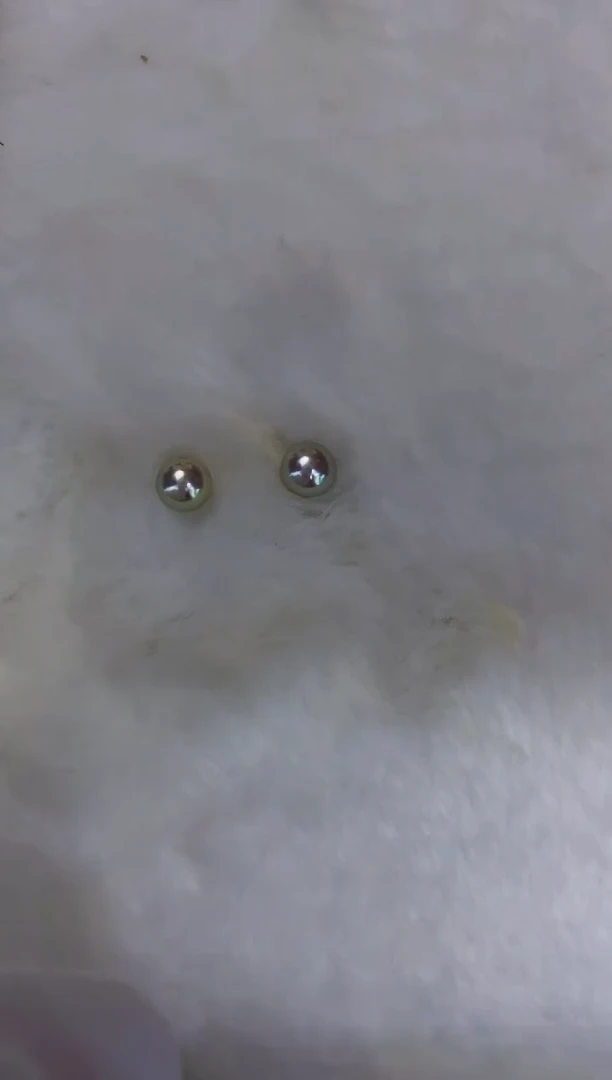 18K金镶嵌海水珍珠akoya灰珠耳钉6.5-7mm（定制）