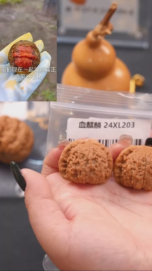 【闪购商品】文玩核桃吊坠36.5血麒麟狮子头
