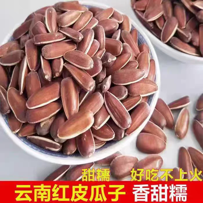 2斤  云南红皮葵花（熟中颗粒）（送4元青花葵）