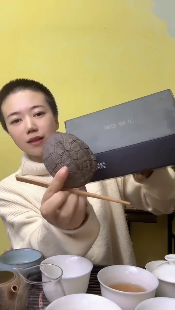 彩选单品龟甲茶则