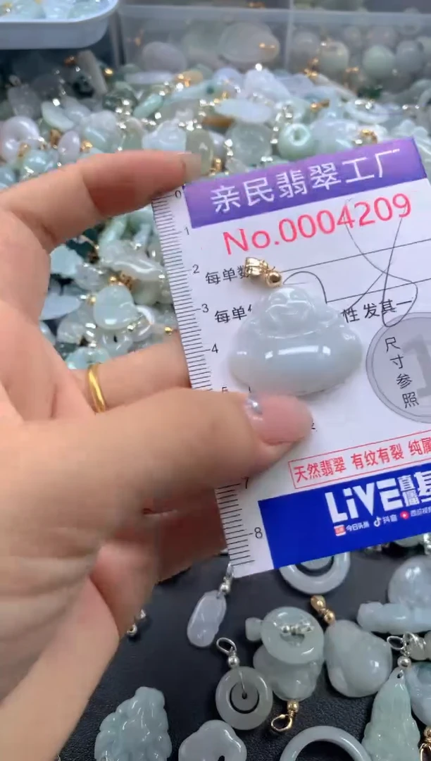 颈饰未镶嵌翡翠4209