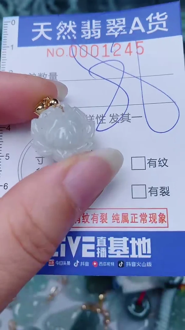 翡翠未镶嵌颈饰00001245