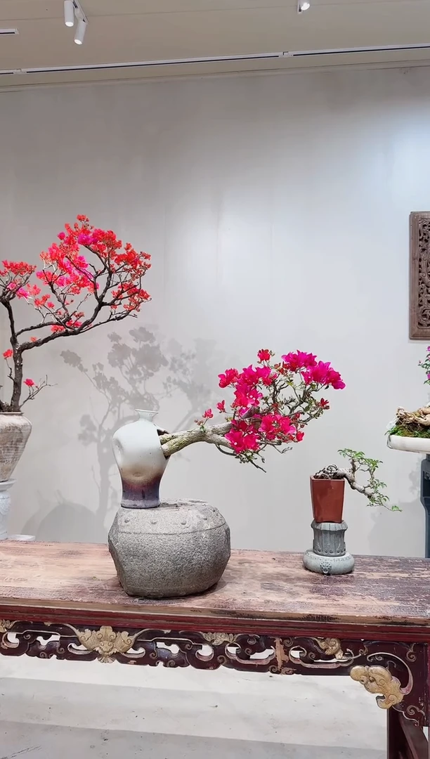 【闪购商品】盆景绿叶玫红